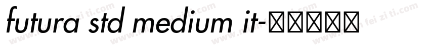 futura std medium it字体转换